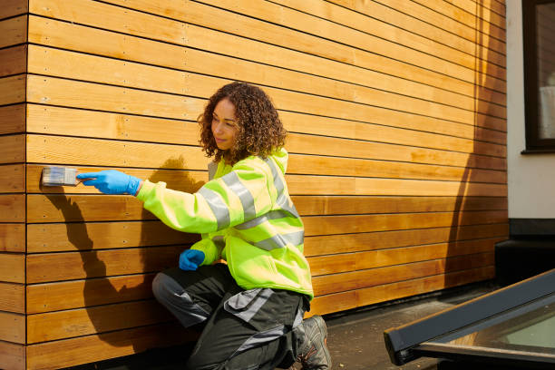 Best Vinyl Siding Installation  in Port St Joe, FL